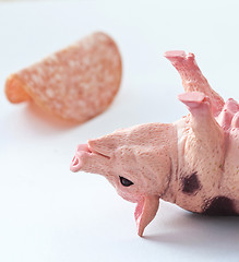Image showing Miniature Pig with a slice of saussage