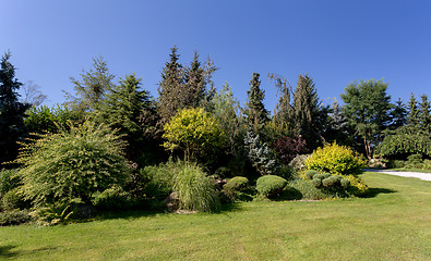 Image showing Beautiful summer garden design