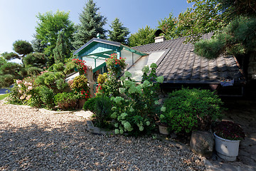 Image showing Dog baby house with flowers