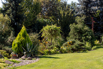 Image showing Beautiful summer garden design