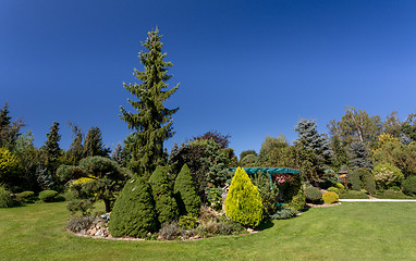 Image showing Beautiful summer garden design