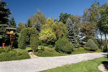 Image showing Beautiful summer garden design