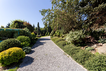 Image showing Beautiful summer garden design