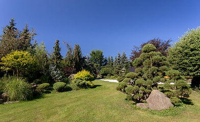 Image showing Beautiful summer garden design