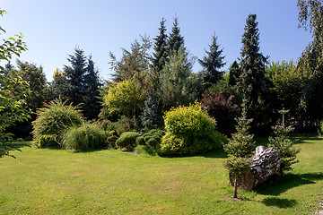 Image showing Beautiful summer garden design