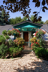 Image showing Dog baby house with flowers