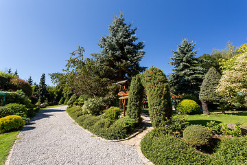 Image showing Beautiful summer garden design