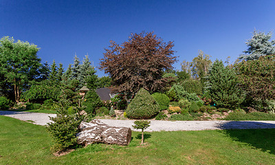 Image showing Beautiful summer garden design