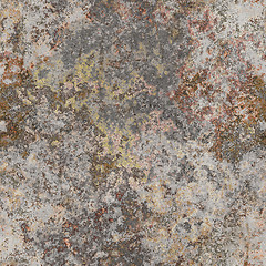 Image showing seamless lichen background