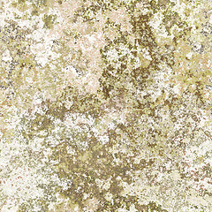 Image showing seamless lichen background