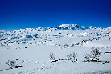 Image showing Snow covered mountain