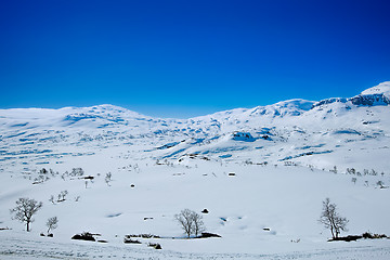 Image showing Snow covered mountain