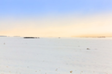 Image showing agriculture field in winter