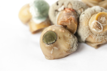 Image showing mold on mushrooms