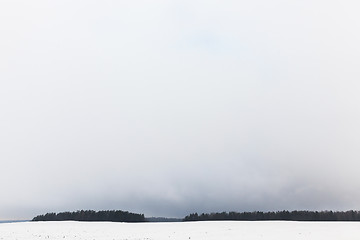 Image showing fog in winter