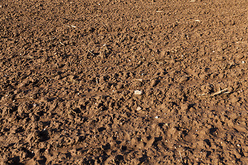 Image showing plowed for sowing the land