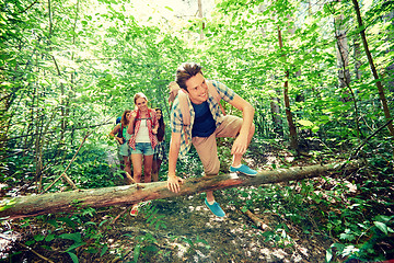 Image showing group of smiling friends with backpacks hiking