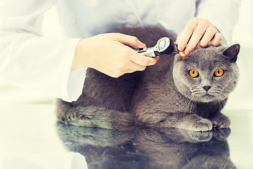 Image showing close up of vet with otoscope and cat at clinic