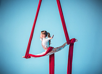 Image showing Graceful gymnast performing aerial exercise