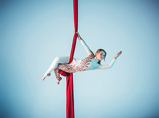 Image showing Graceful gymnast performing aerial exercise