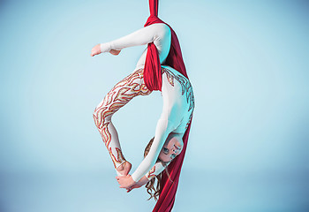 Image showing Graceful gymnast performing aerial exercise