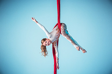 Image showing Graceful gymnast performing aerial exercise