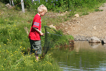 Image showing catching dinner