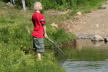 Image showing summer fun