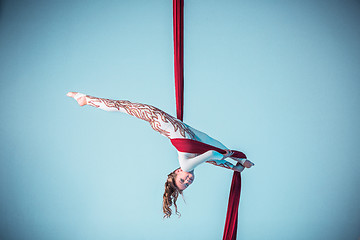 Image showing Graceful gymnast performing aerial exercise