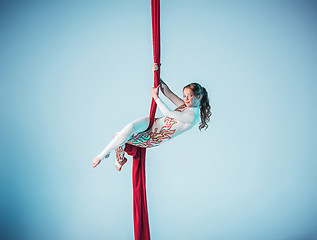 Image showing Graceful gymnast performing aerial exercise