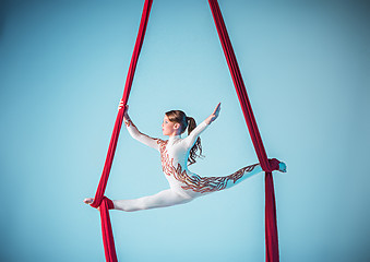 Image showing Graceful gymnast performing aerial exercise