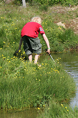 Image showing looking for trouble