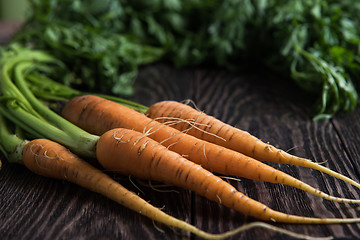 Image showing Freshly grown carrots