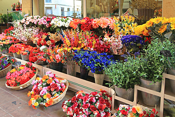 Image showing Flower Shop