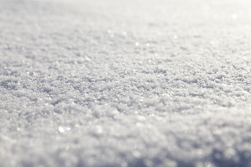 Image showing snow on the ground