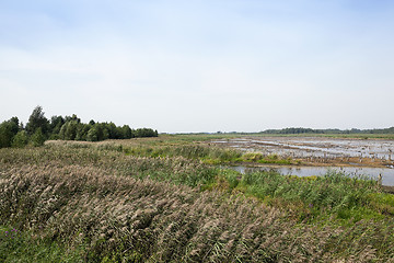 Image showing moorland, summer time