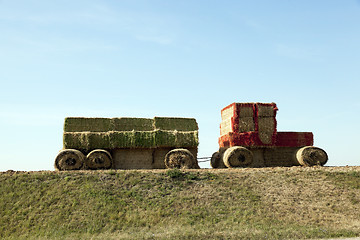 Image showing Tractor straw, close-up