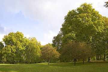 Image showing Sun at the park