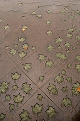 Image showing Memorial to Canada