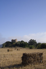 Image showing Farm landscape