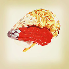 Image showing Colorfull human brain. 3D illustration. Vintage style.