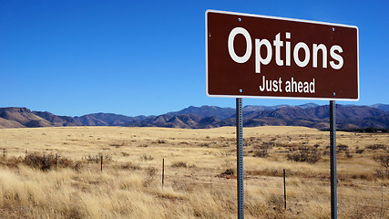 Image showing Options brown road sign