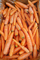 Image showing Bright carrot