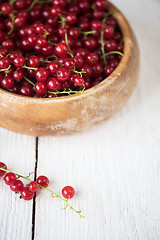 Image showing Fresh red currants