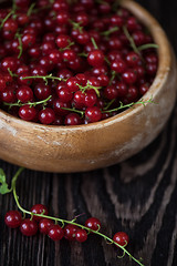 Image showing Fresh red currants