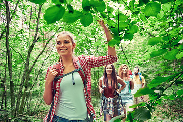 Image showing group of smiling friends with backpacks hiking