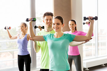 Image showing group of smiling people exercising with dumbbells