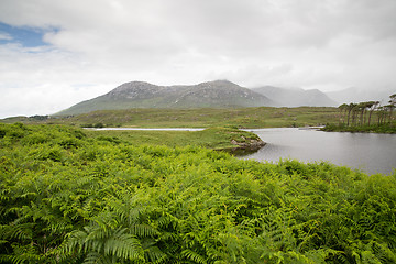 Image showing view to island in lake or river at ireland