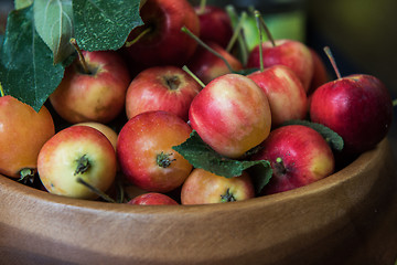 Image showing Fresh harvest of apples