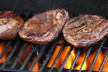 Image showing meat and flame